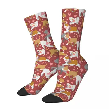 Носки для собак с английским бультерьером Red Love Мужские Женские осенние чулки в стиле хип-хоп