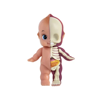 4D Master Baby Cupid Классический Полукелетон Забавная Анатомическая модель Фигурка Украшение дома Детский Подарок на Хэллоуин Бесплатная Доставка
